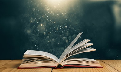 乒乓球国家队的陪练都是什么水平？