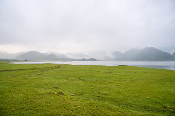 张怡宁和邓亚萍谁更厉害？