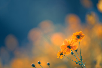 形容乒乓球运动员风采的词语