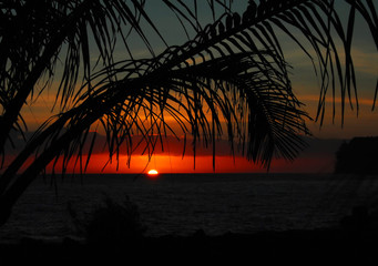 中国乒乓球运动员排行榜前十名