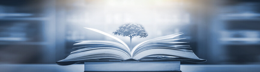 乒乓球运动现状和发展趋势