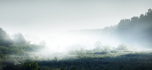 竞选班干部演讲稿