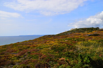 形容乒乓球运动员风采的词语
