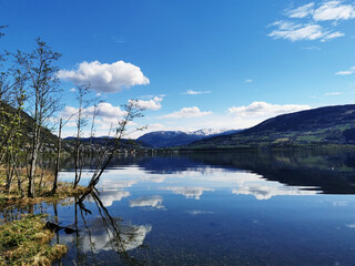 形容乒乓球运动员风采的词语
