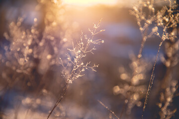 乒乓球拍（横拍）反手长胶的打法