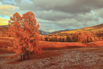 乒乓球发球技巧