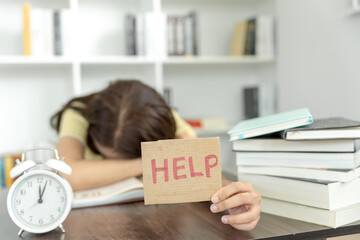 中国乒乓球运动员排行榜前十名