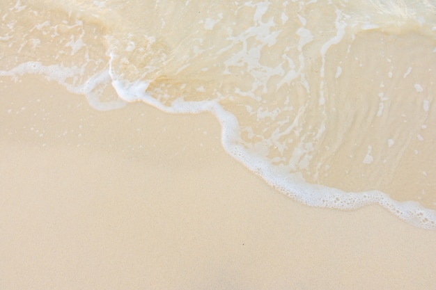 乒乓球运动现状和发展趋势