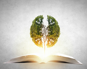 历届女单冠军一览表