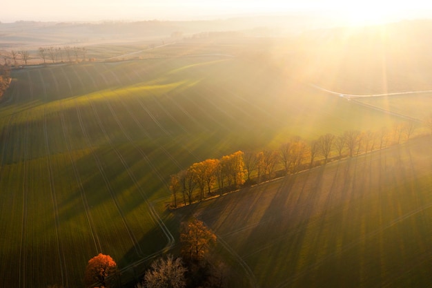 乒乓球正手平击发球的要点是什么？