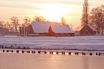 乒乓球发球技巧