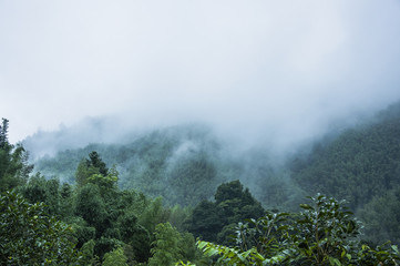 形容乒乓球运动员风采的词语